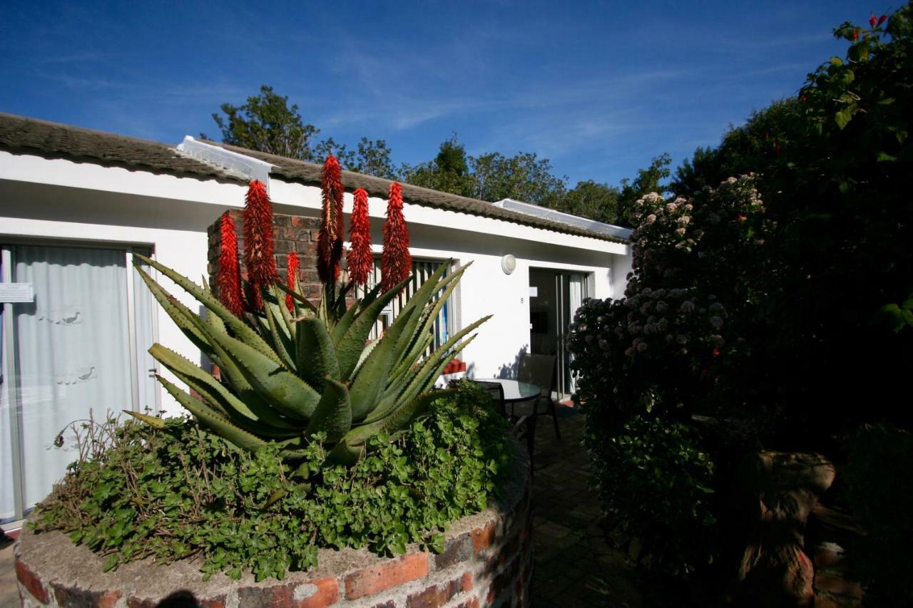 Clouds Guest House Durbanville Exteriör bild